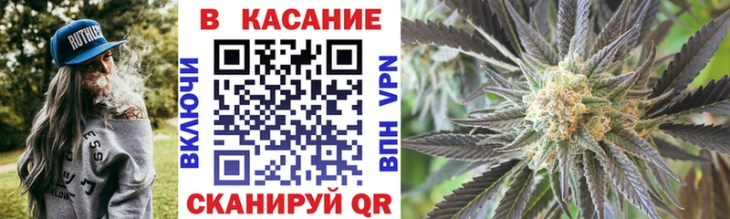 Галлюциногенные грибы Гусиноозёрск
