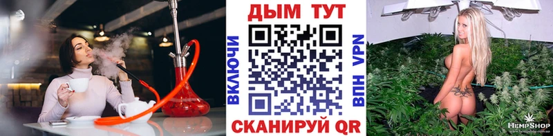 Бошки Шишки THC 21%  Гусиноозёрск 